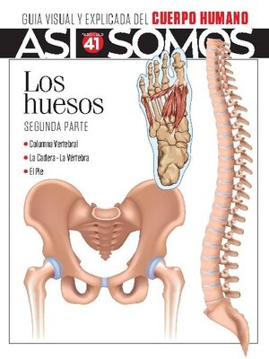 cover image of Así Somos - El cuerpo humano